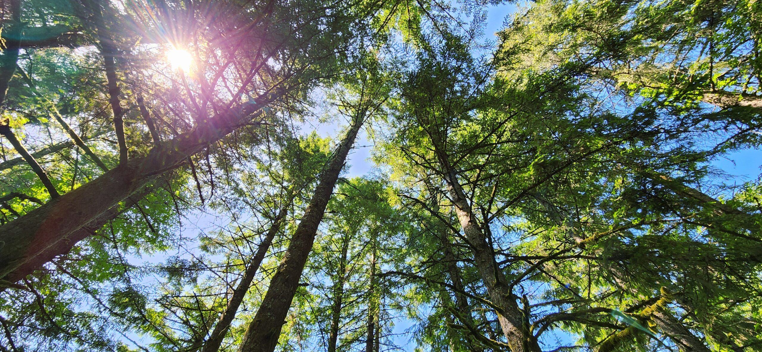 Among Friends: A Day on Cooper Mountain